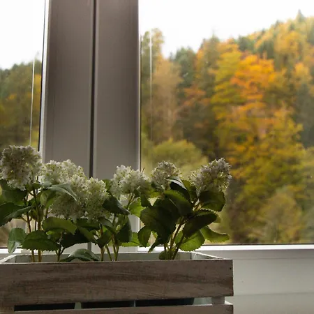 Apartma Rogla Relax * Oplotnica