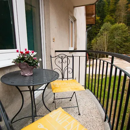 Apartma Rogla Relax Apartment Oplotnica