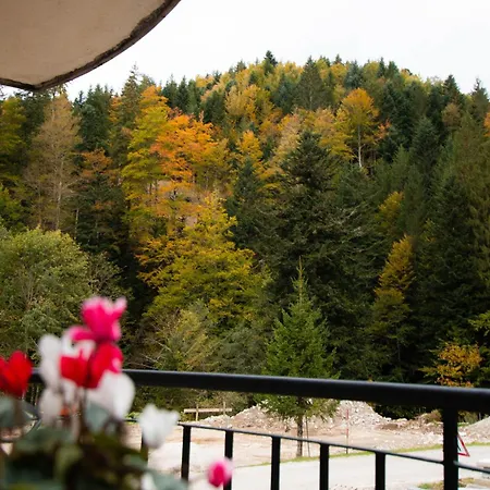 Apartma Rogla Relax *