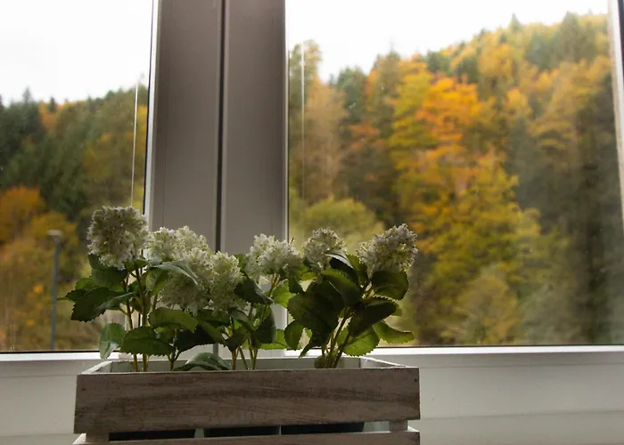 Apartma Rogla Relax * Oplotnica