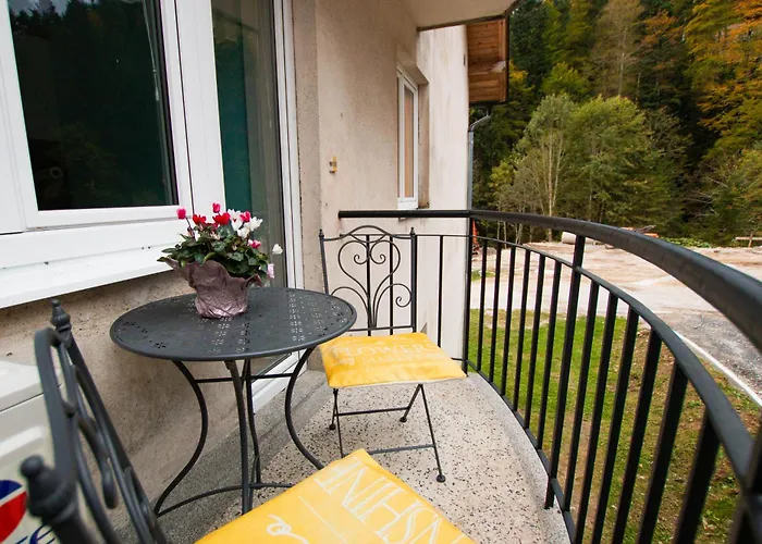 Apartma Rogla Relax Apartment Oplotnica