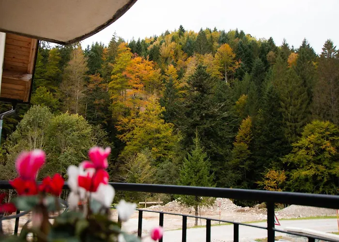 Apartma Rogla Relax *